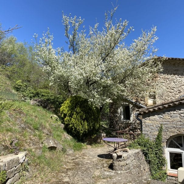 location de vacances avec terrasse et piscine gard herault