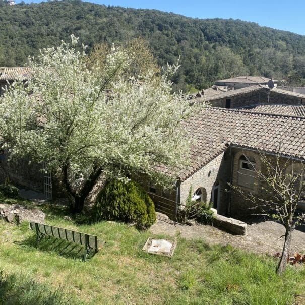 gites cevennes with pool terrace garden